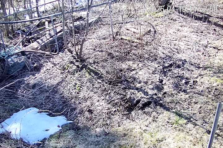 Ãƒƒƒƒƒƒƒƒƒ…telkamera